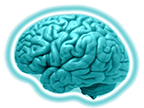 Endocrine and Metabolic Disorders