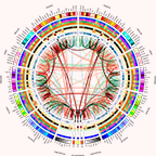 connectogram