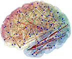 connectome